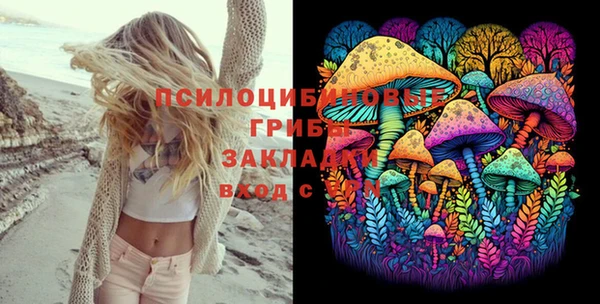 не бодяженный Куйбышев