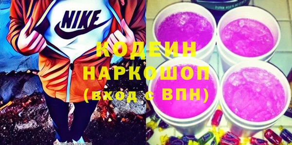 молекула духа Лабытнанги