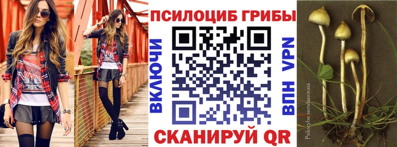 Купить где  Кораблино  Галлюциногенные грибы Magic Shrooms 